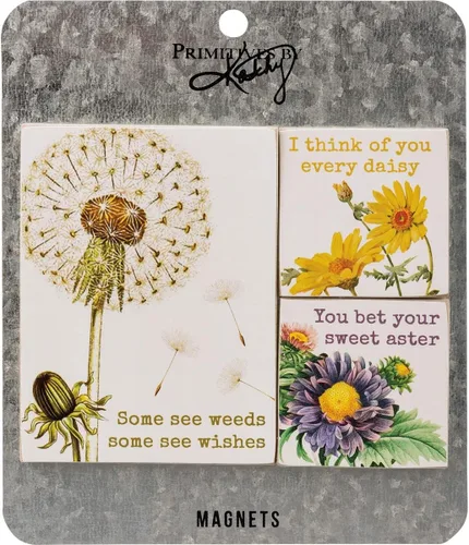 Primitives by Kathy Some See Weeds Some See Wishes, I Think of You Every Daisy, You Bet Your Sweet Aster - Juego de imanes decorativos