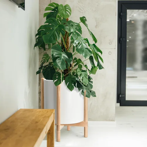 Miniatura 2 de Maceta de D'vine Dev con soporte - Maceta de flores de cilindro de plástico de 8.0 pulgadas con soporte de madera para interiores, maceta mate negra