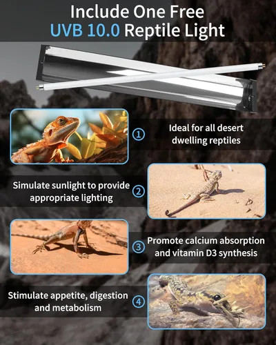 Miniatura 7 de LUCKY HERP T5 - Kit combinado de lámpara para reptiles de 24 W (nueva actualización), lámpara de reptil UVB con tubo fluorescente Desert UVB 10.0