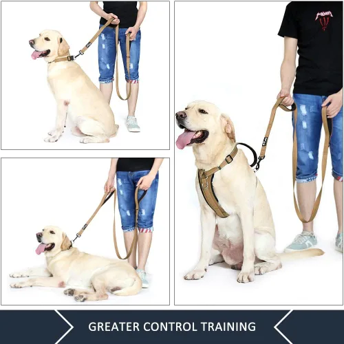 Miniatura 3 de Correa de perro de doble asa Plutus Pet de 6 pies, resistente, reflectante, correa de perro de doble asa para seguridad y entrenamiento, para perros