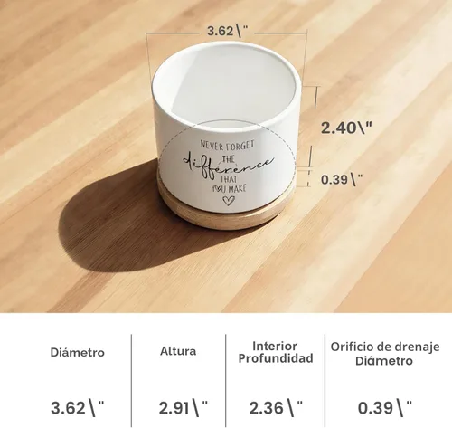 Miniatura 5 de DOFAFALA Maceta Graciosa para Suculentas, Maceta para Cactus, Regalos de Flores, Regalos Inspiradores de Apreciación para Amantes de Plantas, Nunca