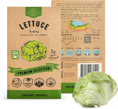 Miniatura 11 de Organo Republic Paquete de Semillas de Lechuga Hoja de Roble 1 G - Más de 800 Semillas de Lechuga Reliquia Sin OMG para Plantar Verduras en Paquete