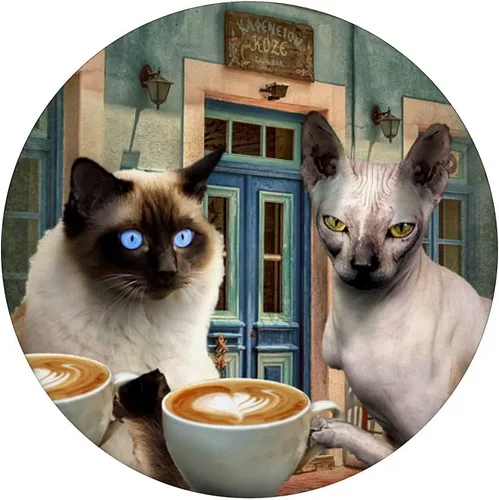 Miniatura 3 de Gato siamés sin pelo esfinge gatito gatos beber café PopSockets intercambiables PopGrip