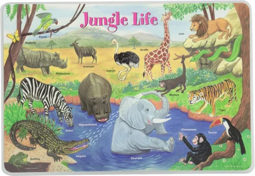 Miniatura 4 de Painless Learning Popular Birds - Mantel individual, tamaño grande