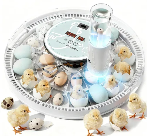 MeeF Incubadora de huevos para incubar 28 huevos, giro automático, humidificador atomizador independiente, con bandejas de huevos de pato y ganso