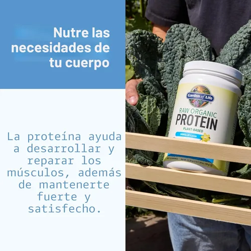 Miniatura 4 de Polvo de proteína vegana orgánico con vitaminas y probióticos; batido de proteínas puro, sin azúcar, chocolate, bandeja de 10 porciones