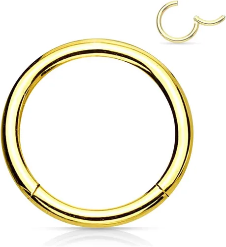 Miniatura 51 de Forbidden Body Jewelry - Piercing para la nariz de acero quirúrgico 316L con bisagra, 14G, 16G, 18G, diámetro de 15/64, 5/16, 25/64, 15/32 pulgadas