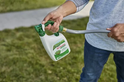 Miniatura 5 de Scotts Liquid Turf Builder - Alimento para césped, fertilizante para césped, 32 onzas líquidas (paquete de 6)