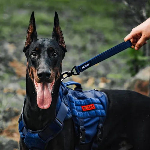 Miniatura 6 de OneTigris Bolt - Correa corta de tráfico para perros pequeños, medianos y grandes (azul, S)