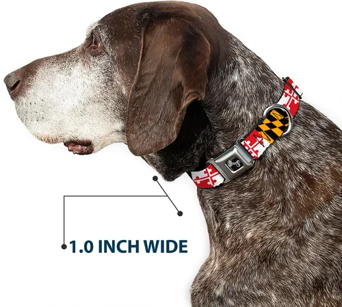 Miniatura 6 de Collar de perro hebilla de cinturón de seguridad Maryland Banderas 9 a 15 pulgadas 1.0 pulgadas de ancho