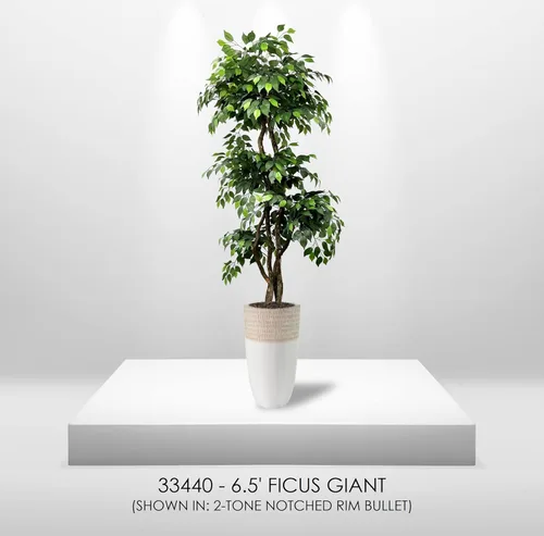 Miniatura 7 de Cypress & Alabaster Árbol artificial de ficus de 3 niveles hecho a mano de 6.5 pies con troncos de madera real de origen ético, hipoalergénico, 6.5