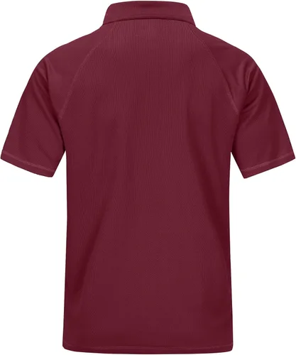 Miniatura 2 de Polo de golf para hombre que absorbe la humedad, UPF 50+, manga corta, M-5XL