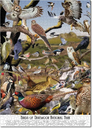 Rompecabezas de pájaros para adultos, 1000 piezas, para observación de aves, naturaleza y vida silvestre