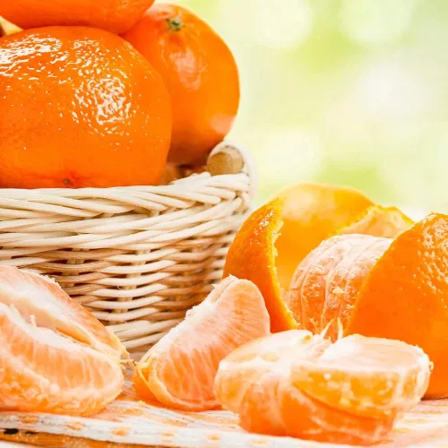 Miniatura 6 de Mezcla para macetas elaborada por expertos para árboles de mandarina. La mezcla de tierra de Gardenera es la clave para una cosecha abundante