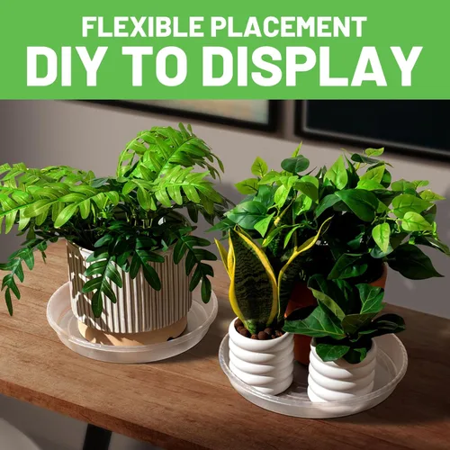 Miniatura 5 de MUDEELA Paquete de 6 platillos para plantas de 8 pulgadas, bandejas de plástico duraderas para interiores, platillo de plástico transparente, hecho