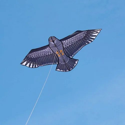 Miniatura 3 de Besra Cometa de pájaro fénix con cola larga, para deportes al aire libre, para playa y parque Águila de 74 pulgadas