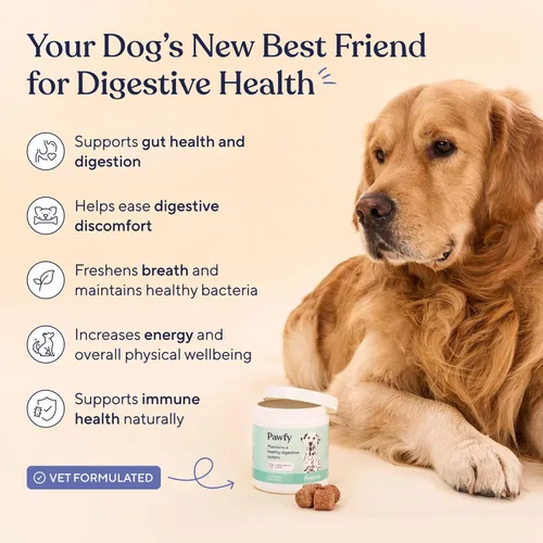 Miniatura 2 de Pawfy Probióticos para perros Apoya la salud digestiva, la diarrea para perros pequeños y grandes Mejora la salud intestinal Suplementos