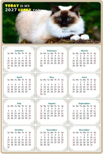 Calendario magnético 2024 – Imanes del calendario – Today is my Lucky Day – Resistente a la decoloración, desgarros y agua – Temática de gato 02