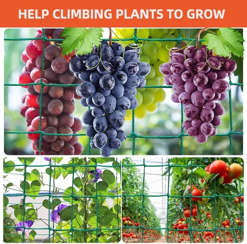 Miniatura 4 de Yahpetes Red de jardín 1 unidad de red de escalada de jardín de 6 x 12 pies, soporte de vid para plantas, red de soporte de red resistente