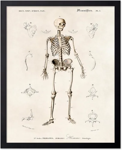 Miniatura 68 de Poster Master Póster de fotografía vintage, impresión gótica retro, regalo para artista, amigo, Halloween, familia espeluznante, disfraz extraño
