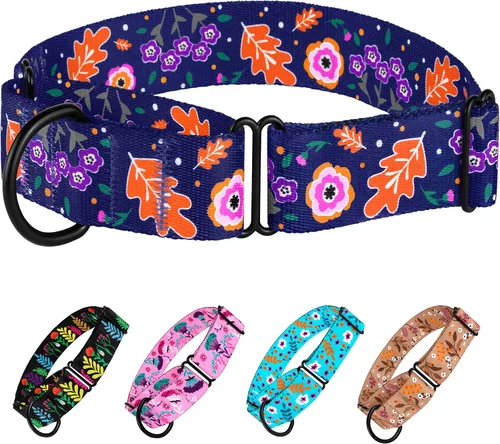 Miniatura 14 de CollarDirect Martingale - Collar de nailon resistente para perros pequeños, medianos y grandes [nailon, estampado, aguamarina, L, 15-20 pulgadas)
