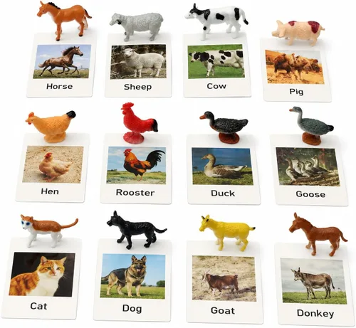 Montessori - Juego de animales de granja a juego, 12 figuras realistas de animales de granja y aves de corral con tarjetas flash, juguetes