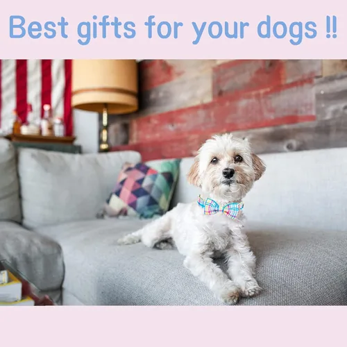 Miniatura 4 de Unique style paws Collar de perro para el día de Pascua con pajarita, collar de cachorro de cuadrícula azul y rosa para niños pequeños, medianos