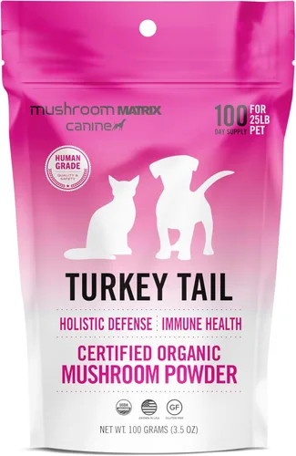 Mushroom Matrix de Setas Om para Mascotas - Canino | Cola de Pavo | Setas Orgánicas Cultivadas en EE.UU de Grado Humano en Polvo para Mascotas |
