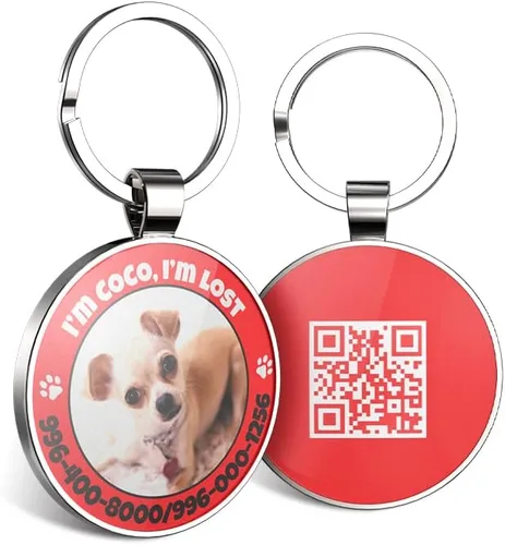 Miniatura 11 de Etiquetas de perro QR personalizadas para mascotas, etiquetas de identificación de código QR, etiquetas de identificación de mascotas inteligentes