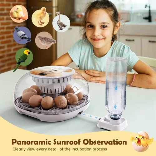 Miniatura 7 de Incubadora de huevos para incubar pollitos, girador automático de huevos con capacidad para 12 huevos, incubadora inteligente con ventana
