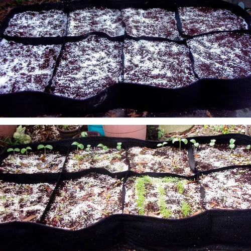 Miniatura 7 de Perlita de 9 cuartos para suelo vegetal: enmienda para tierra de macetas, mejora el drenaje y la aireación del suelo, mejor para el crecimiento