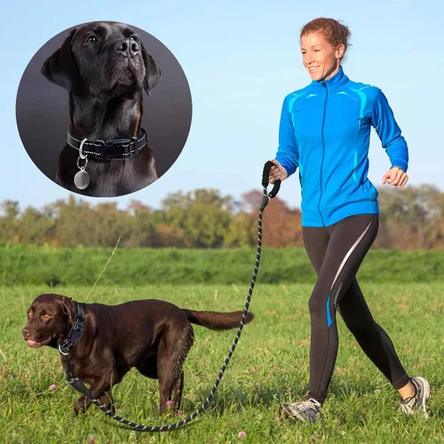 Miniatura 4 de Ladoogo collar reflectante para perro con acolchado de neopreno suave, collares de nylon transpirables y ajustables para perros pequeños, medianos