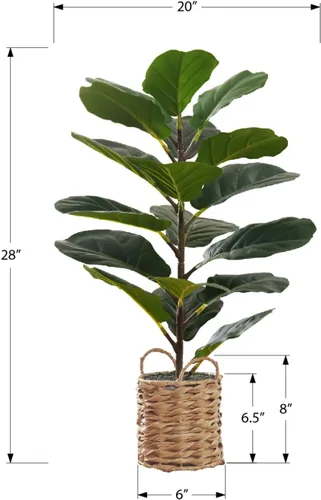 Miniatura 6 de Monarch Specialties I 9505 Planta artificial, 28 pulgadas de alto, árbol de violín, interior, falso, falso, suelo, vegetación, maceta, tacto real