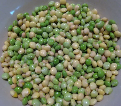 Miniatura 2 de Paloma PEA conocida como/Gandules/Gungo jamaicano/Congo Guisantes 100+semillas - reliquia