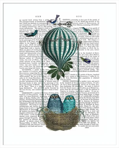 Miniatura 8 de Amanti Art Fab Funky - Póster enmarcado para pared, diseño de nido de globo de búho de 24 x 20 pulgadas, arte de pared de animales, decoración