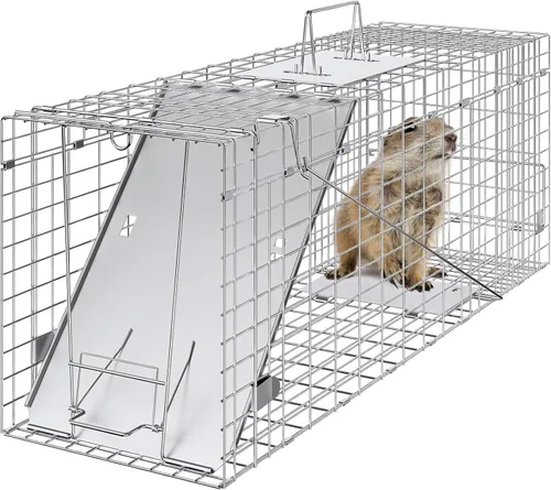 VEVOR Trampa de jaula para animales vivos, 31 x 10 x 12 pulgadas, trampa para gatos humanitarios de hierro galvanizado, trampa plegable para