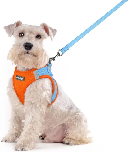 Miniatura 44 de rabbitgoo Juego de arnés para perro de tamaño pequeño y correa, chaleco ligero suave para cachorro, arnés de malla transpirable para mascotas