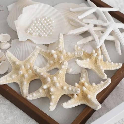Miniatura 8 de JSPYFITS Estrellas de mar grandes de 2.5 a 4 pulgadas y conchas de vieira para manualidades, 12 unidades, conchas naturales de mar de playa