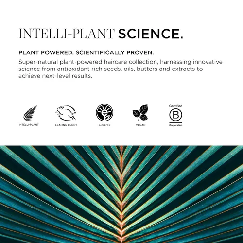 Miniatura 5 de Intelligent Nutrients Fortifi-hair Acondicionador hidratante reparador intensivo para cabello seco y dañado, rejuvenece, reconstruye, vegano, 8 onzas