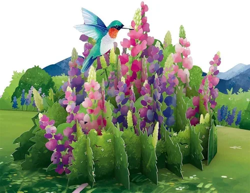 Lovepop Lupine - Tarjeta emergente de colibrí – Tarjetas de felicitación emergentes de colibrí – Tarjeta de cumpleaños 3D – 5 x 7 pulgadas – Sobre