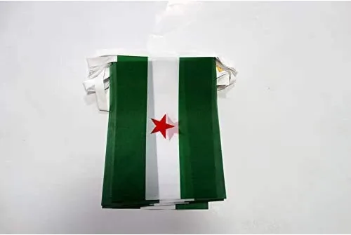 Miniatura 286 de AZ FLAG Señal marítima internacional 42.7 ft BUNTING Flag 40 banderas 9'' x 6'' - Banderas de cuerda del alfabeto náutico 5.9 x 8.3 in
