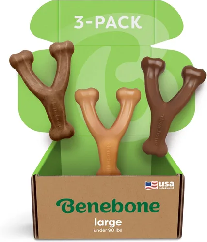 Miniatura 15 de Benebone Wishbone - Juguete masticable duradero para perros masticadores agresivos, tocino real, fabricado en Estados Unidos, mediano