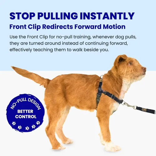 Miniatura 2 de Freedom - Arnés para perro sin tirones, fácil de caminar, deja de tirar con dos anillos en D de acero inoxidable, cómodo, etiquetas de instrucciones