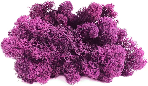 Miniatura 2 de Musgo preservado SuperMoss, Fucsia