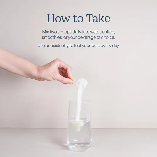 Miniatura 4 de Zenwise Health Suplemento diario de fibra probiótica con probióticos metabólicos para ayudar a controlar los antojos y apoyar la salud digestiva