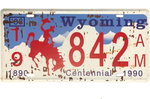 Placa de matrícula de Wyoming de aluminio, placa decorativa de automóvil novedosa, placas de matrícula de 12"x6" para el frente del automóvil, placa