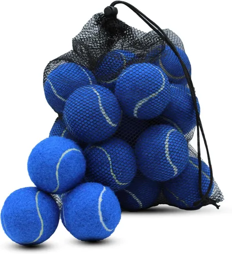 Swingers Pelotas de tenis, pelotas de ejercicio de entrenamiento para mascotas, pelotas de tenis de práctica de alta elasticidad para principiantes,
