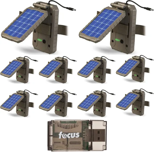 Stealth Cam Panel de energía solar de litio (paquete de 10) Paquete con lector de tarjetas (11 artículos)