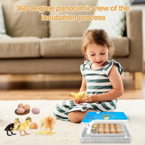 Miniatura 7 de Incubadoras para incubar huevos de 15-35 huevos con giro automático de huevos y pantalla de temperatura ℉ Incubadora de aves de corral LED