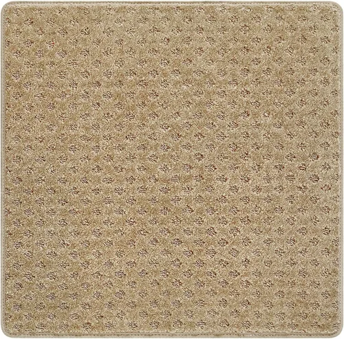 Miniatura 11 de PURE ERA Alfombra Antideslizante para Escaleras, Tapete Adhesivo, Antideslizante, Resistente al Deslizamiento, Felpudo para Interiores, Alfombra